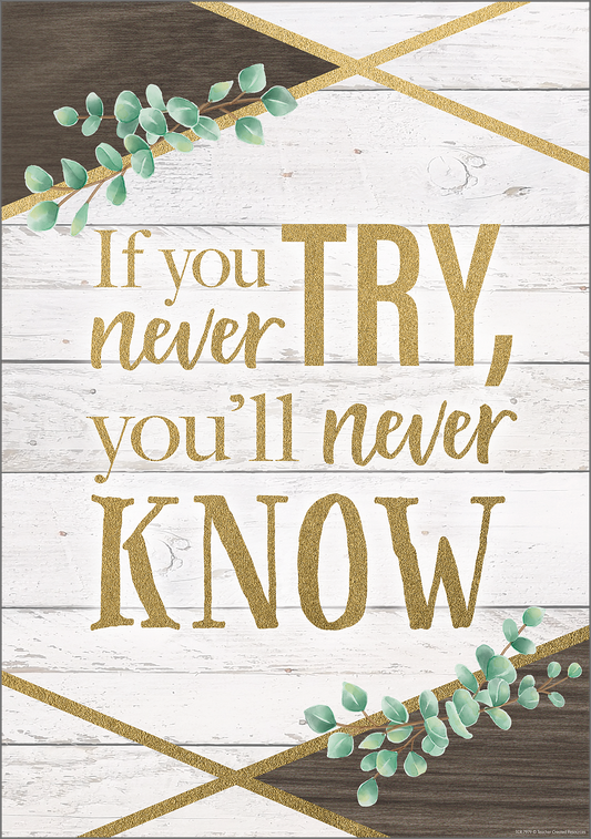 If You Never Try, You’ll Never Know Positive Poster