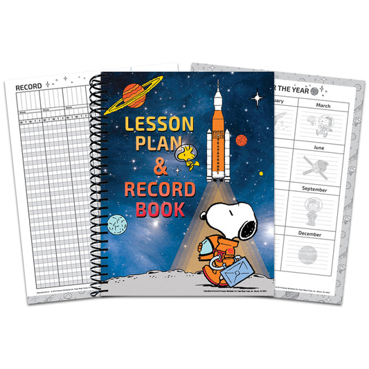 Eureka Lesson Plan Books record attendance, track assignments, organize seating arrangements and are great to use for the entire school year. 

160 pages. Book measures 8 1/2" x 11".