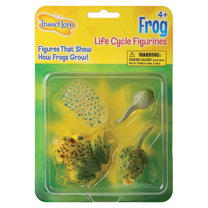 FROG LIFE CYCLE STAGES