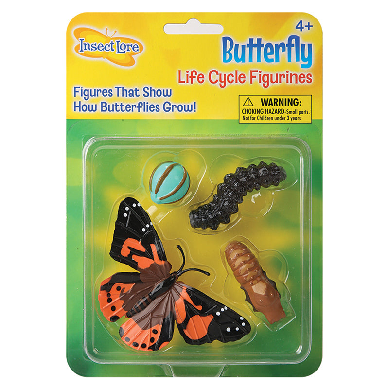 BUTTERFLY LIFE CYCLE STAGES