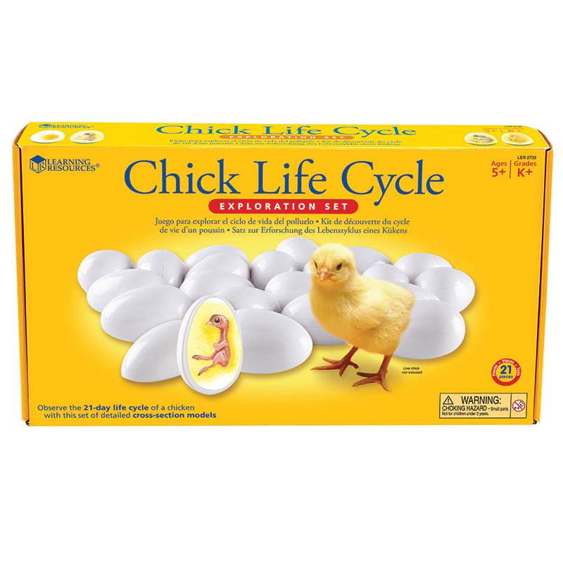 CHICK LIFE CYCLE EXPLORATION SET