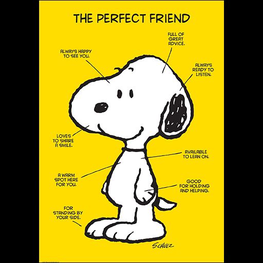 Peanuts™ The Perfect Friend Poster