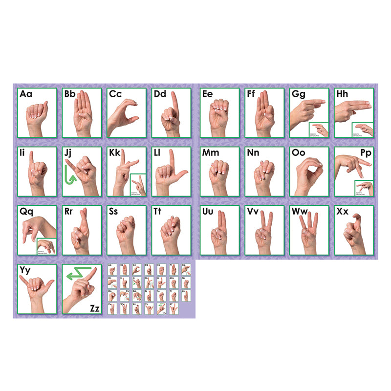 AMERICAN SIGN LANGUAGE