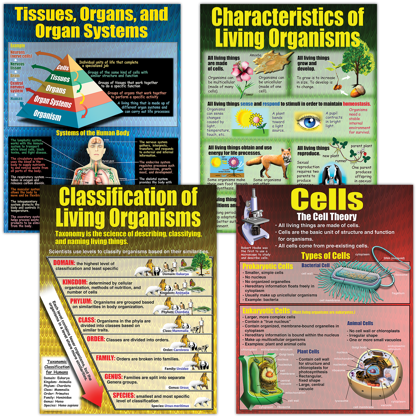 Living Organisms Poster Set